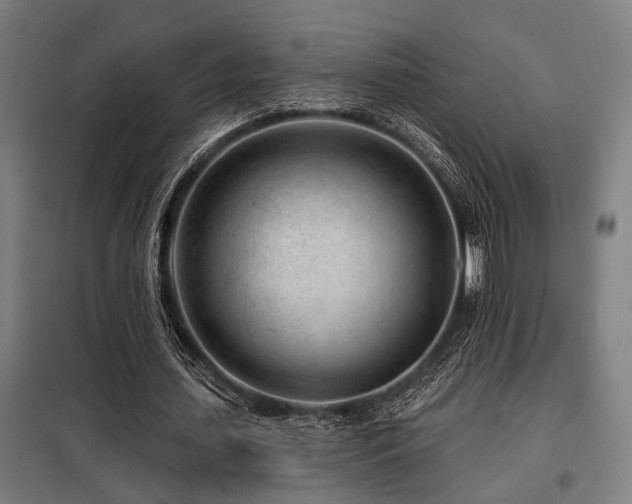 X0000098090627200804041220