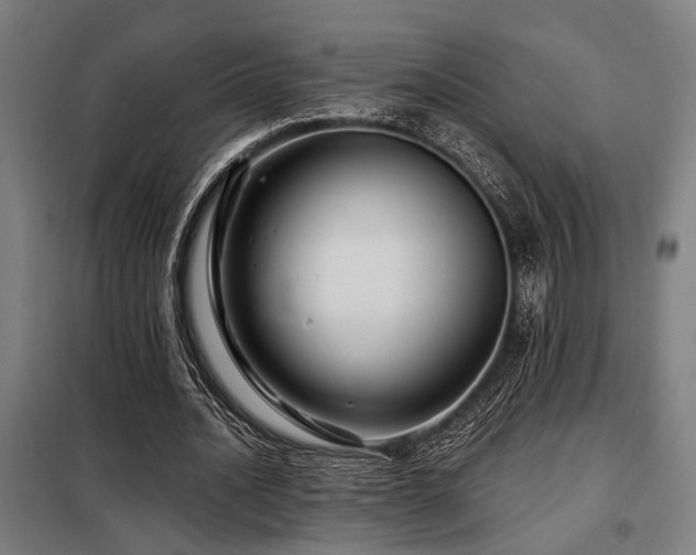 X0000098090628200804041220
