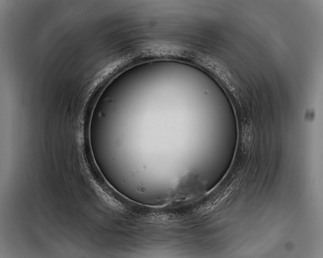 X0000098090629200804041220