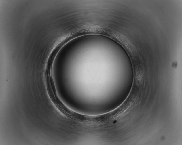 X0000098090630200804041220