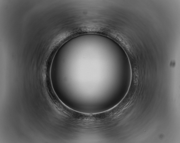 X0000098090631200804041220