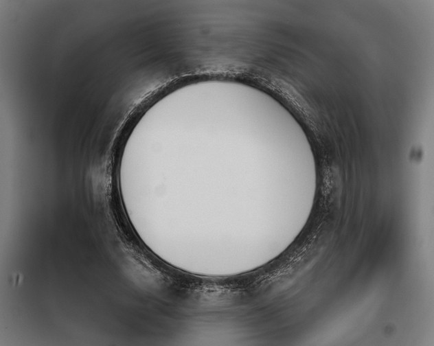 X0000098090632200804041220