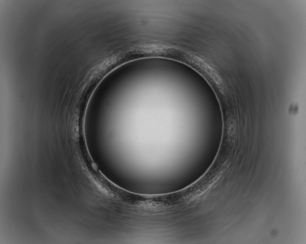 X0000098090633200804041220