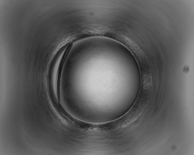 X0000098090634200804041220