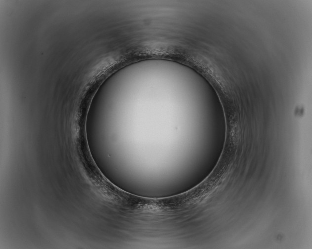 X0000098090635200804041220