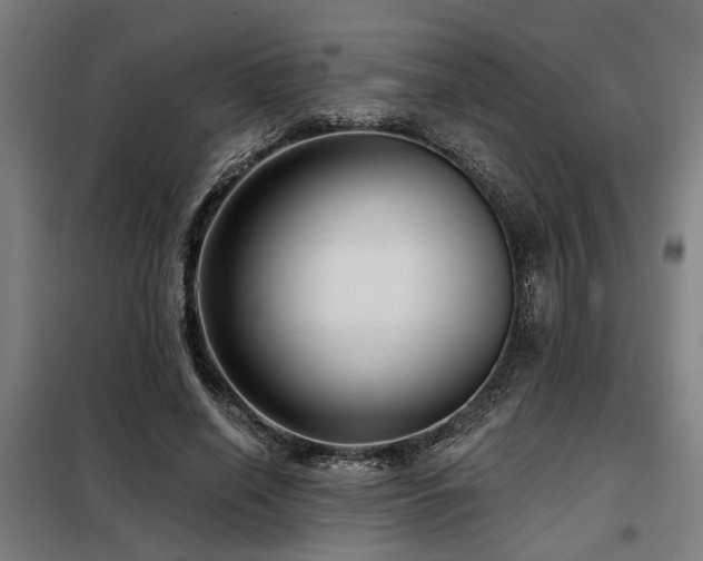 X0000098090638200804041220
