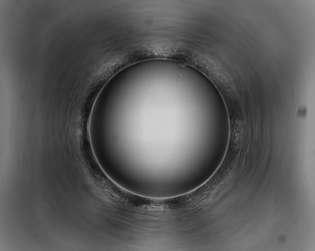 X0000098090639200804041220