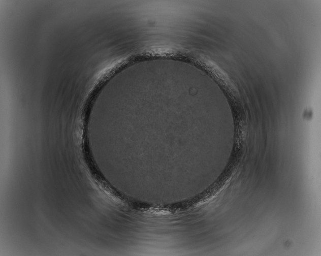X0000098090640200804041220