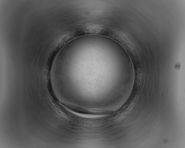 X0000098090641200804041220