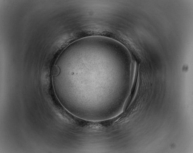 X0000098090642200804041220