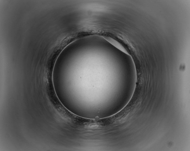 X0000098090643200804041220