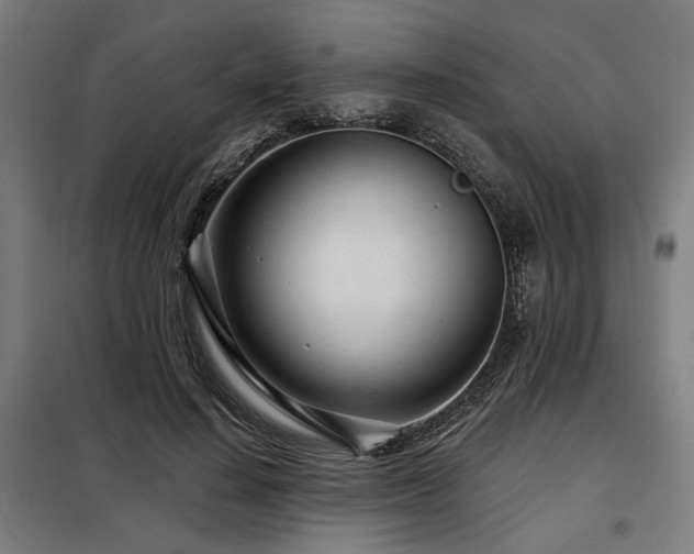 X0000098090644200804041220