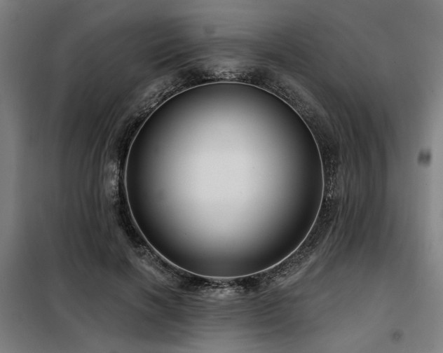 X0000098090646200804041220