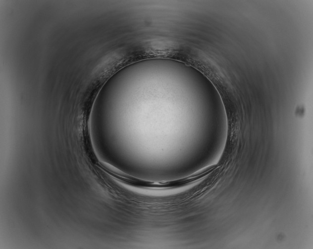 X0000098090647200804041221