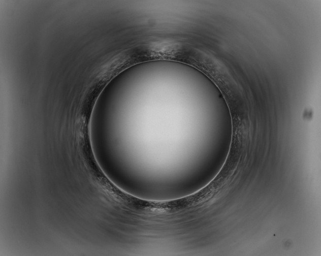 X0000098090649200804041221