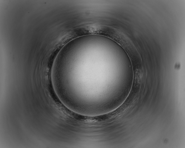 X0000098090650200804041221