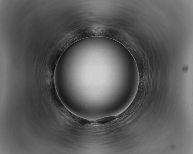 X0000098090651200804041221