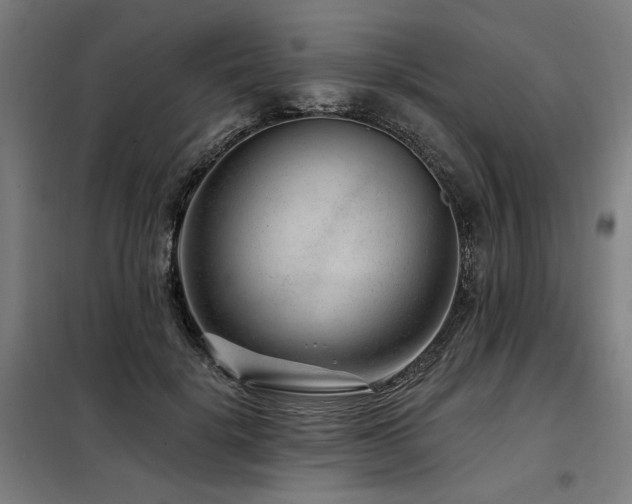 X0000098090652200804041221