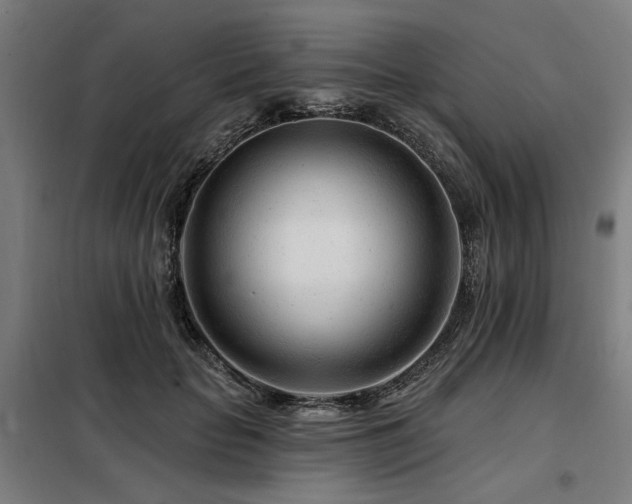 X0000098090653200804041221