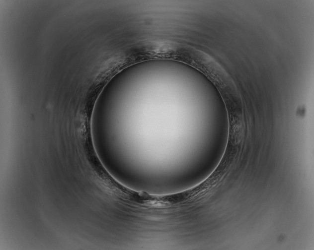 X0000098090654200804041221