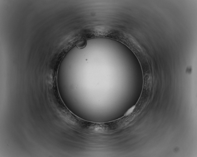 X0000098090655200804041221