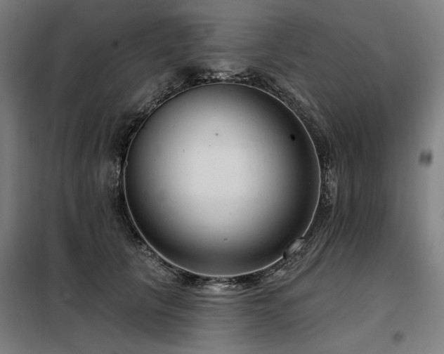 X0000098090657200804041221