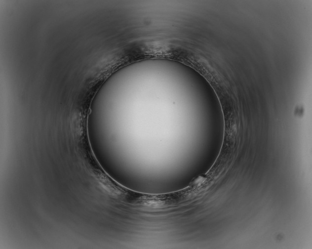 X0000098090658200804041221