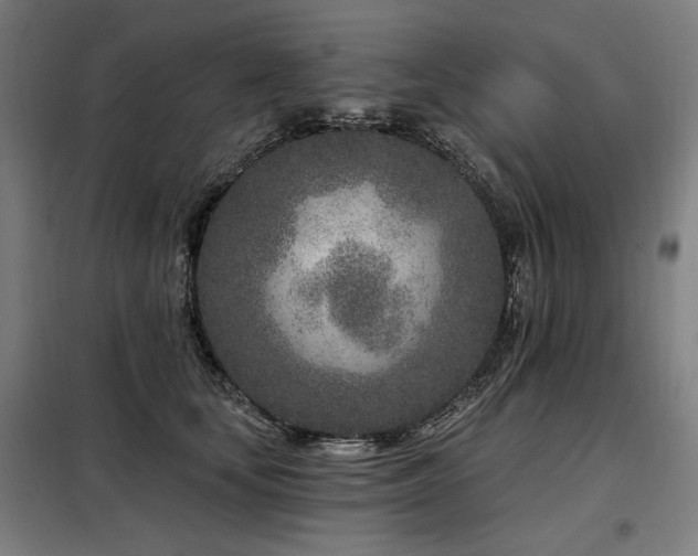 X0000098090659200804041221
