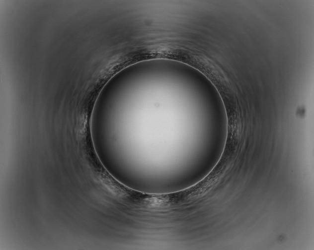 X0000098090660200804041221