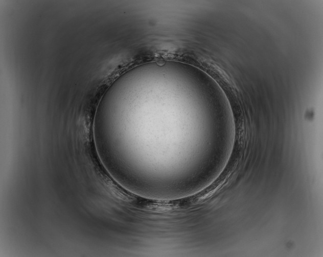 X0000098090661200804041221