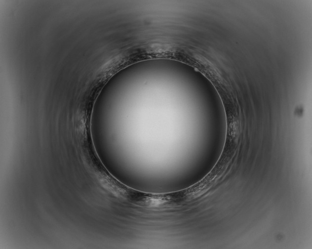 X0000098090662200804041221