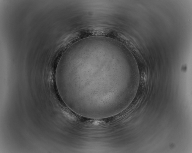X0000098090663200804041221