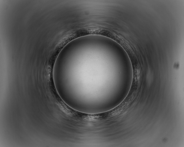 X0000098090664200804041221