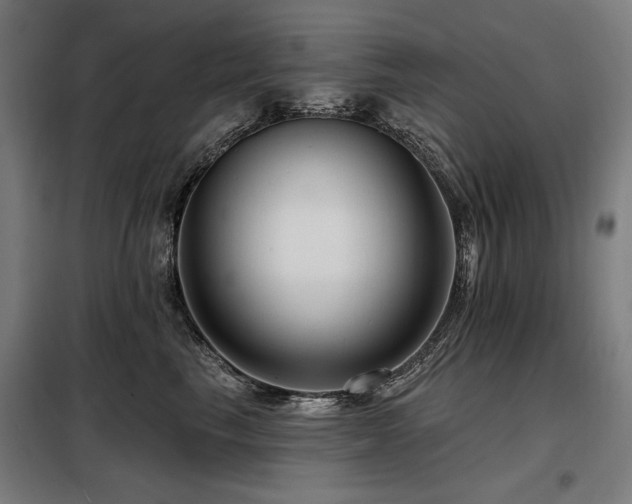 X0000098090665200804041221
