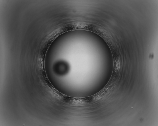 X0000098090666200804041221