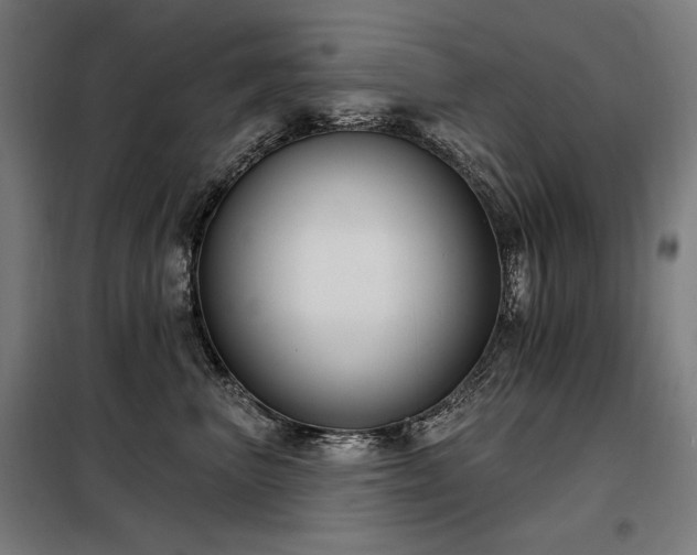X0000098090667200804041221