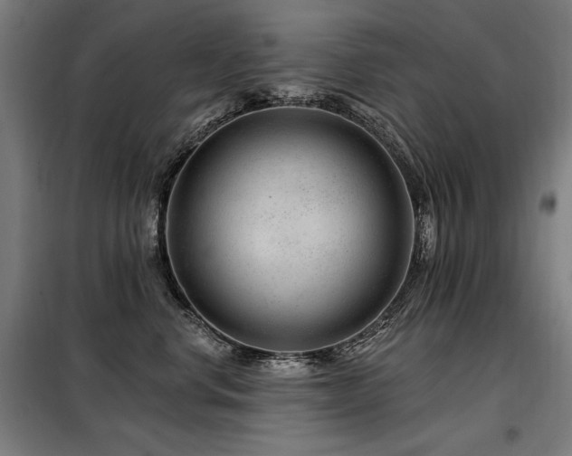 X0000098090668200804041221