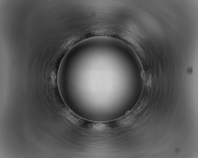 X0000098090669200804041221