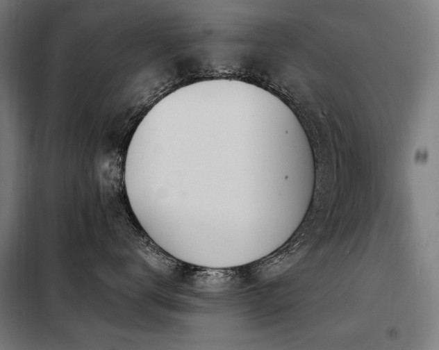 X0000098090672200804041221