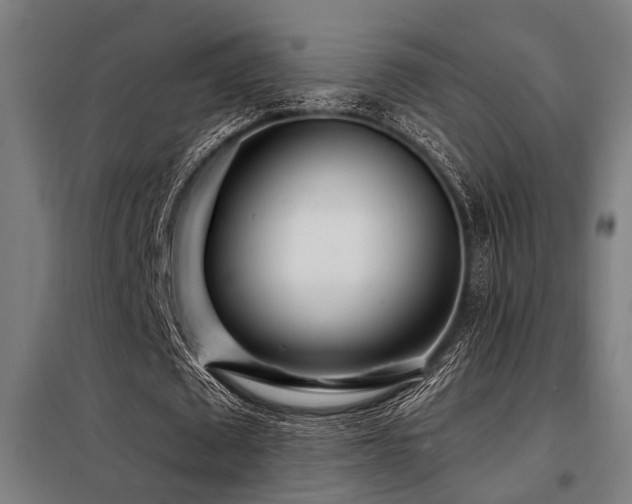 X0000098090673200804041220