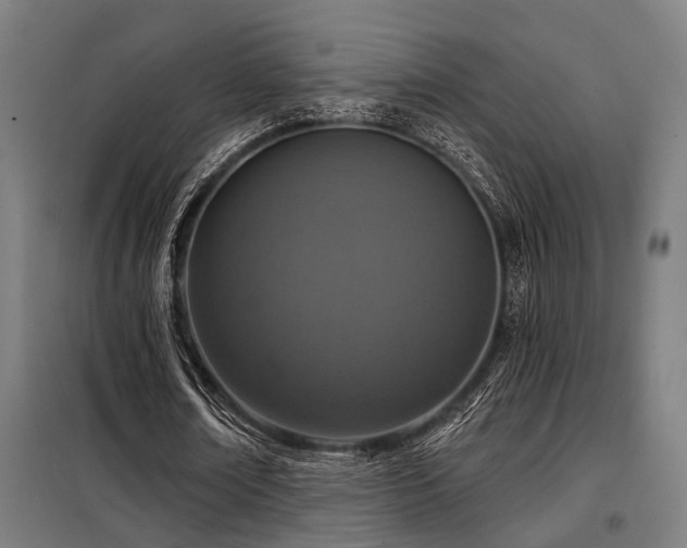 X0000098090674200804041220