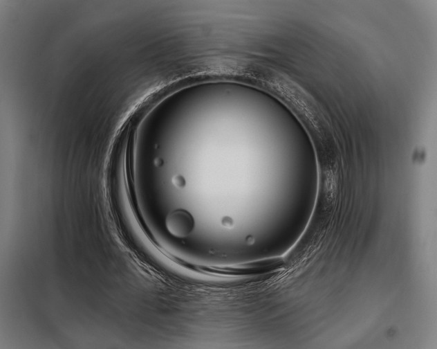 X0000098090676200804041220