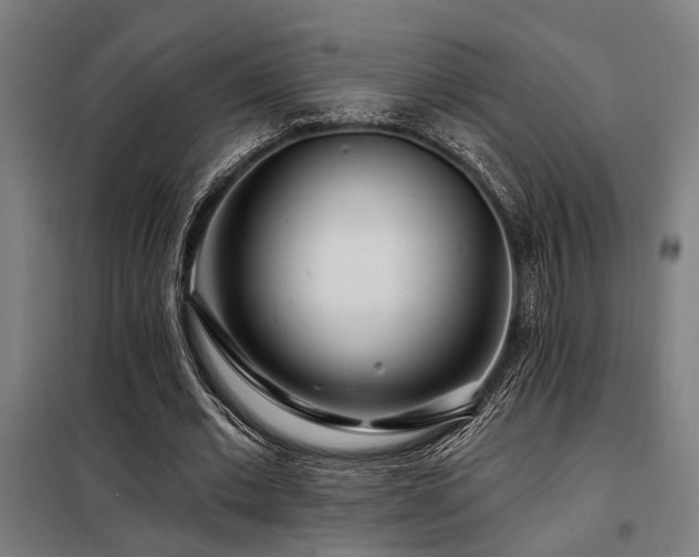 X0000098090677200804041220