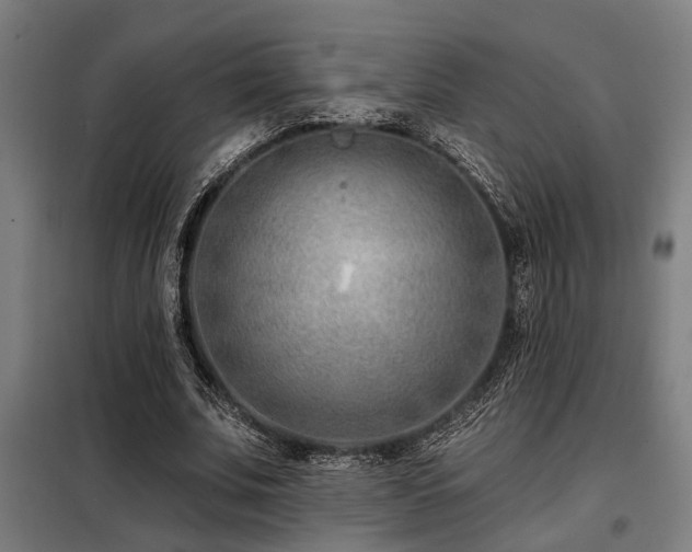 X0000098090679200804041220