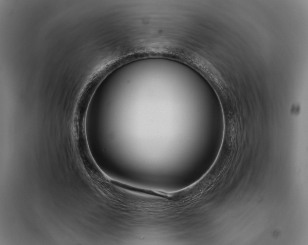 X0000098090680200804041220
