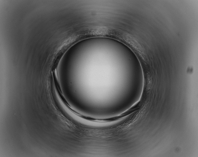 X0000098090681200804041220