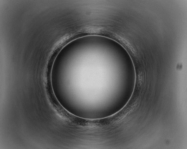 X0000098090682200804041220