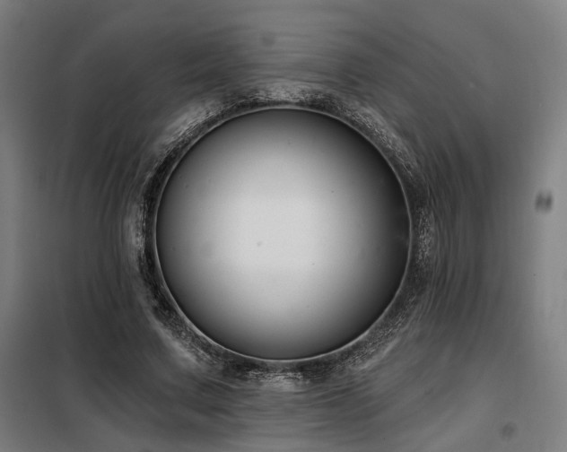X0000098090683200804041220