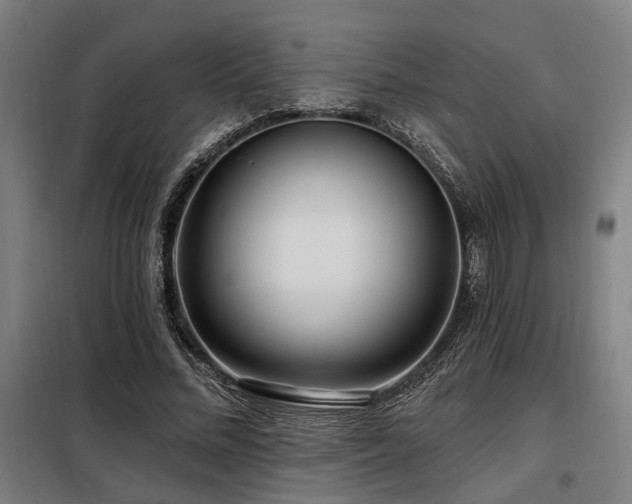 X0000098090684200804041220