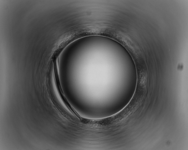 X0000098090685200804041220